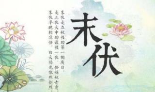 头伏是几月几号 头伏是几月几号