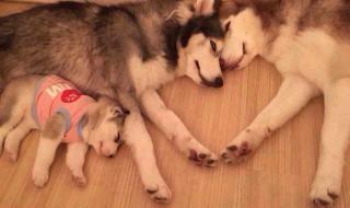 相亲相爱一家人mtv