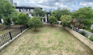 光谷软件园附近租房