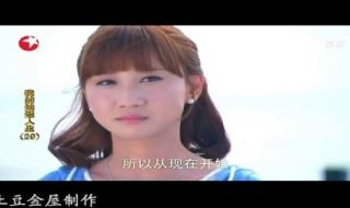 我的灿烂人生吻戏