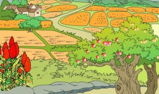 描写秋天丰收的句子