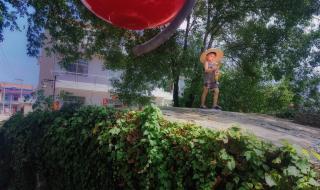 乡村小保安 乡村小保安