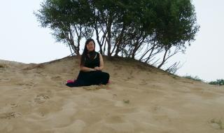 翡翠岛系列 翡翠岛系列