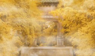 我愿乘风起 我愿乘风起