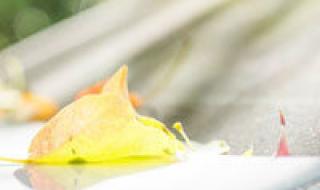 未来日记10 未来日记10