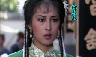 谢宁电视剧 谢宁电视剧