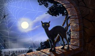 万圣节壁纸 万圣节壁纸