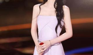 中国好声音巡演 中国好声音巡演