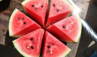 三倍体无籽西瓜 三倍体无籽西瓜