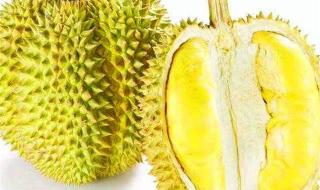 榴莲怎么挑才是最好的 榴莲怎么挑才是最好的