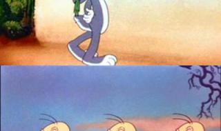 兔八哥东北方言版 兔八哥东北方言版