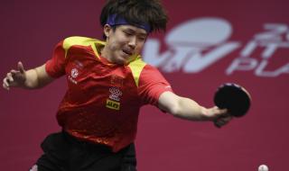 王楚钦樊振东男单决赛