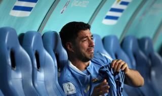 欧洲世界杯是什么时候