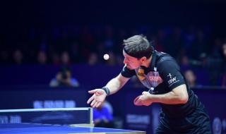 樊振东世界冠军数量 樊振东世界冠军数量